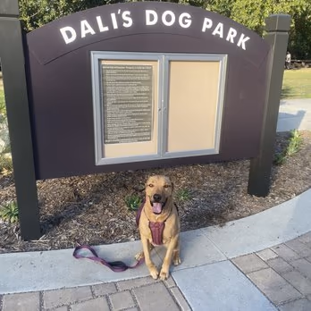 Dali’s Dog Park